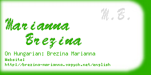 marianna brezina business card